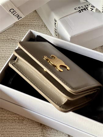 Celine TRIOMPHE COMPACT WALLET in Shiny calfskin Grey