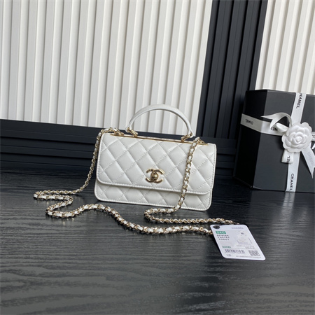 Chanel Clutch With Chain Lambskin Gold Tone Metal White AP4184