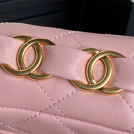 Chanel Flap Bag Lambskin Gold Tone Metal Pink AS5176