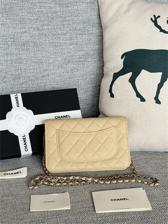 Chanel Wallet On Chain Grained Calfskin Silver Tone Metal Beige AP0250