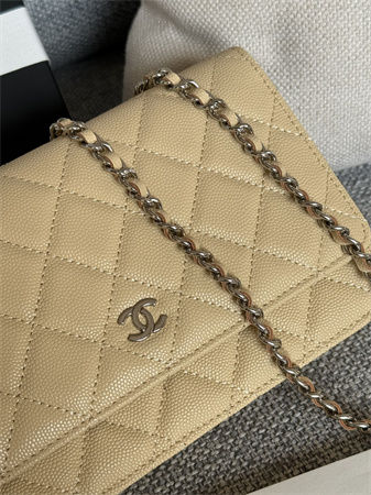 Chanel Wallet On Chain Grained Calfskin Silver Tone Metal Beige AP0250
