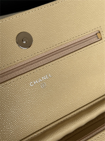 Chanel Wallet On Chain Grained Calfskin Silver Tone Metal Beige AP0250