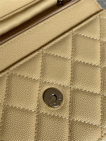 Chanel Wallet On Chain Grained Calfskin Silver Tone Metal Beige AP0250