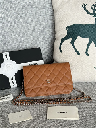 Chanel Wallet On Chain Grained Calfskin Silver Tone Metal Brown AP0250