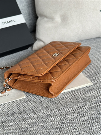 Chanel Wallet On Chain Grained Calfskin Silver Tone Metal Brown AP0250