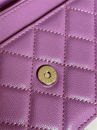 Chanel Wallet On Chain Grained Calfskin Silver Tone Metal Purple AP0250