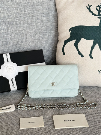 Chanel Wallet On Chain Grained Calfskin Silver Tone Metal Pale Blue AP0250