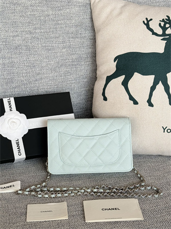 Chanel Wallet On Chain Grained Calfskin Silver Tone Metal Pale Blue AP0250