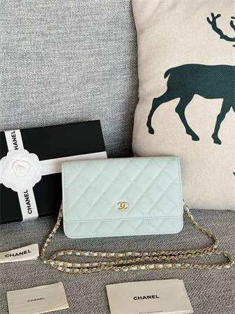 Chanel Wallet On Chain Grained Calfskin Gold Tone Metal Pale Blue AP0250