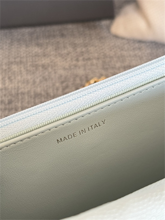 Chanel Wallet On Chain Grained Calfskin Gold Tone Metal Pale Blue AP0250