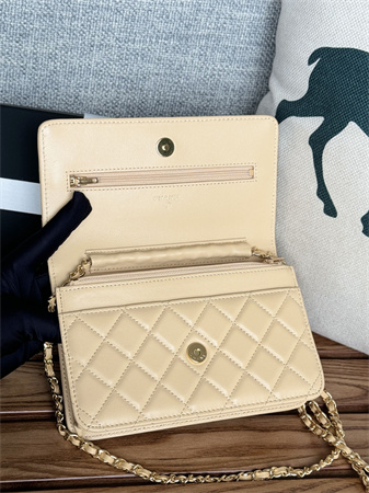 Chanel Wallet On Chain Lambskin Gold Tone Metal Beige AP0250