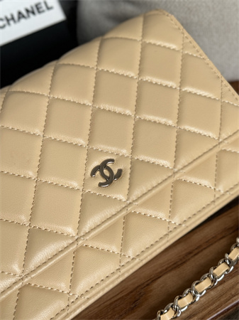 Chanel Wallet On Chain Lambskin Silver Tone Metal Beige AP0250