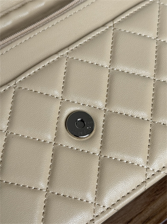 Chanel Wallet On Chain Lambskin Silver Tone Metal Beige AP0250