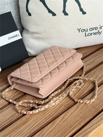 Chanel Wallet On Chain Lambskin Gold Tone Metal Pink AP0250