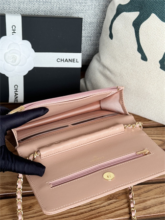 Chanel Wallet On Chain Lambskin Gold Tone Metal Pink AP0250