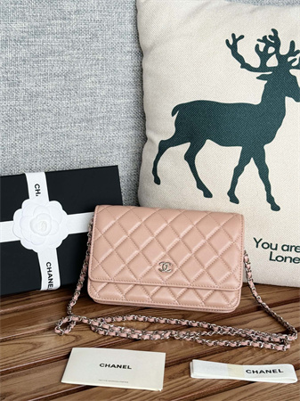 Chanel Wallet On Chain Lambskin Silver Tone Metal Pink AP0250