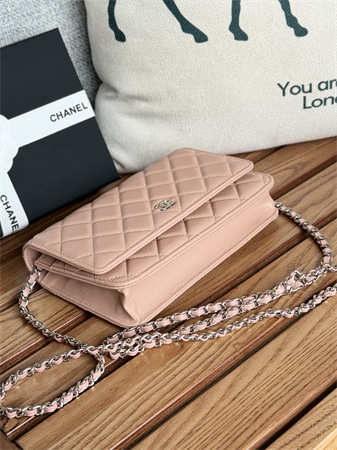 Chanel Wallet On Chain Lambskin Silver Tone Metal Pink AP0250