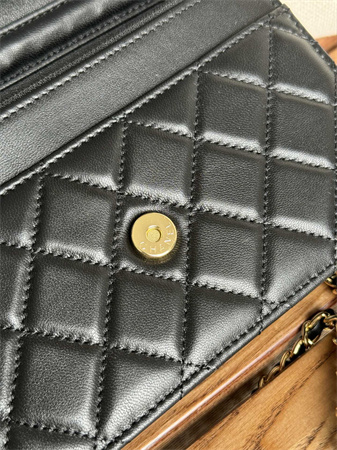 Chanel Wallet On Chain Lambskin Gold Tone Metal Black AP0250