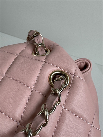 Chanel Duma Backpack Lambskin Gold Tone Metal Pink AS2908