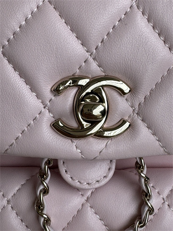 Chanel Duma Backpack Lambskin Gold Tone Metal Lt Pink AS2908