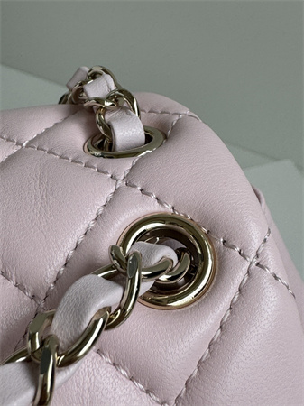 Chanel Duma Backpack Lambskin Gold Tone Metal Lt Pink AS2908