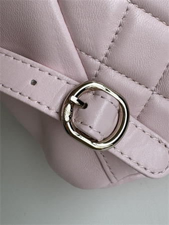 Chanel Duma Backpack Lambskin Gold Tone Metal Lt Pink AS2908