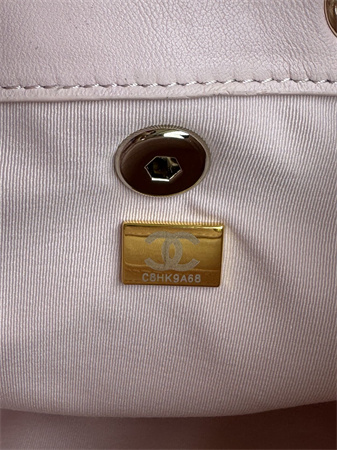 Chanel Duma Backpack Lambskin Gold Tone Metal Lt Pink AS2908