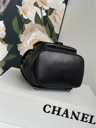 Chanel Duma Backpack  Calfskin Gold Tone Metal Black AS3618