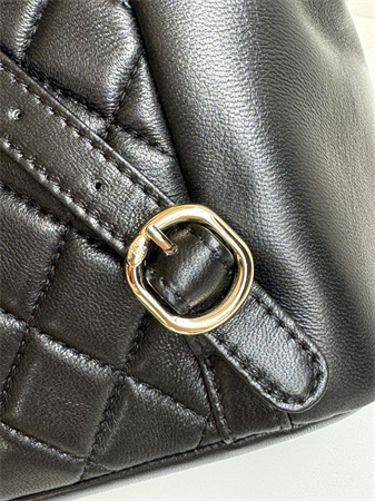 Chanel Duma Backpack Lambskin Gold Tone Metal Black AS3618