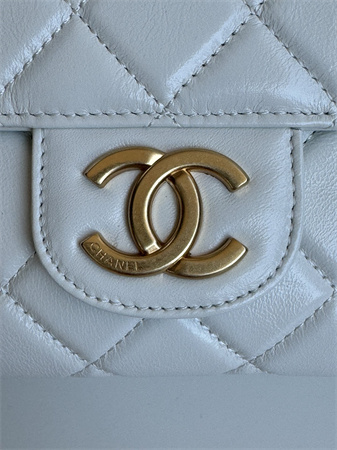 Chanel Hobo Handbag Shiny Crumpled  Calfskin Gold Tone Metal White AS4322