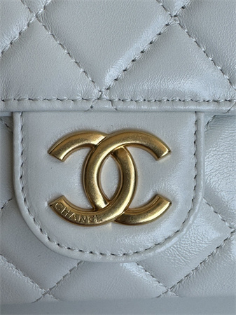 Chanel Small Hobo Handbag Shiny Crumpled  Calfskin Gold Tone Metal White AS4323