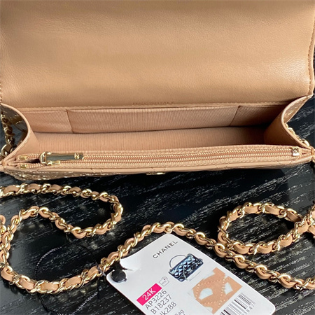 Chanel FLAP PHONE HOLDER WITH CHAIN Patent Calfskin Gold-Tone Metal Beige AP3226