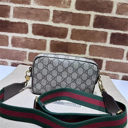 Gu.cci Ophidia GG Mini Bag 746308