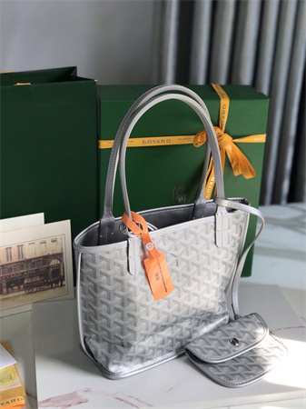 Goyard Anjou Mini Bag Chevroches Calfskin & Goyardine Canvas