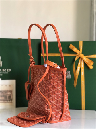 Goyard Anjou Mini Bag Chevroches Calfskin & Goyardine Canvas