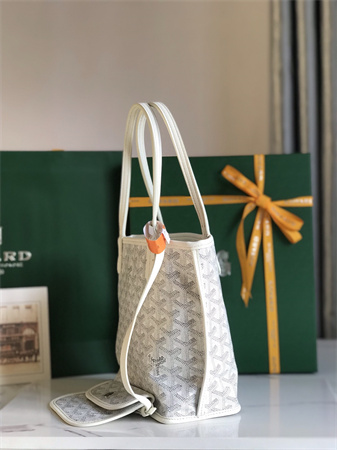 Goyard Anjou Mini Bag Chevroches Calfskin & Goyardine Canvas