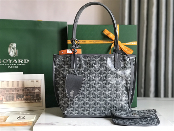 Goyard Anjou Mini Bag Chevroches Calfskin & Goyardine Canvas