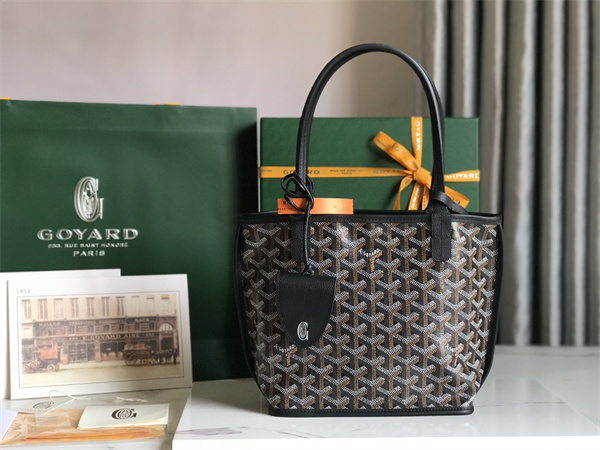 Goyard Anjou Mini Bag Chevroches Calfskin & Goyardine Canvas