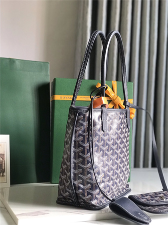 Goyard Anjou Mini Bag Chevroches Calfskin & Goyardine Canvas