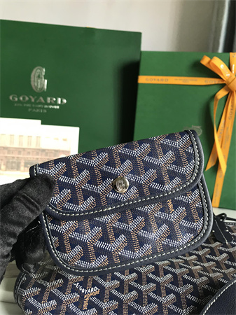 Goyard Anjou Mini Bag Chevroches Calfskin & Goyardine Canvas