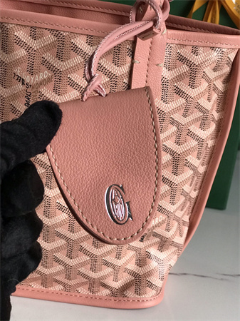 Goyard Anjou Mini Bag Chevroches Calfskin & Goyardine Canvas