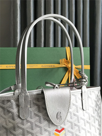 Goyard Anjou Mini Bag Chevroches Calfskin & Goyardine Canvas