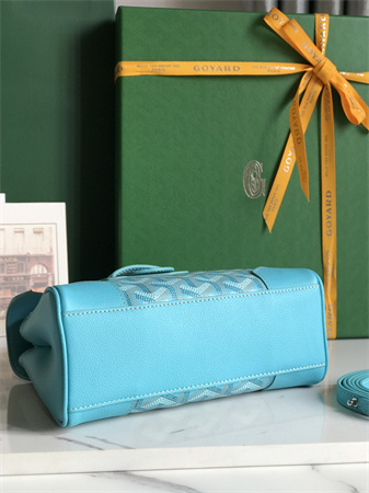 Goyard Saigon Souple Mini Bag Goyardine Canvas & Chevroches Calfskin