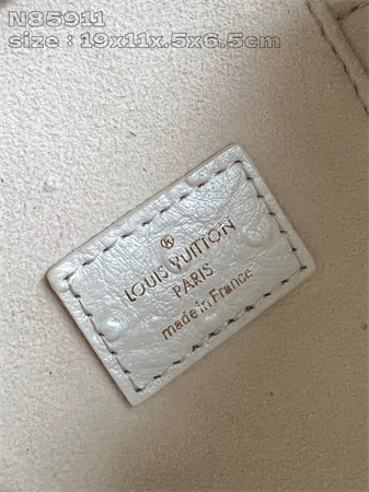 L.V Vanity Chain Pouch Ostrich leather White N85820