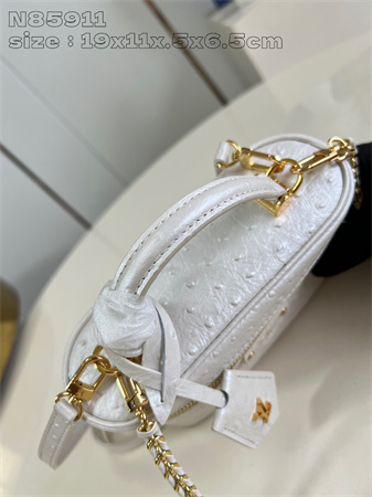 L.V Vanity Chain Pouch Ostrich leather White N85820