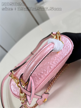 L.V Vanity Chain Pouch Ostrich leather Pink N85820