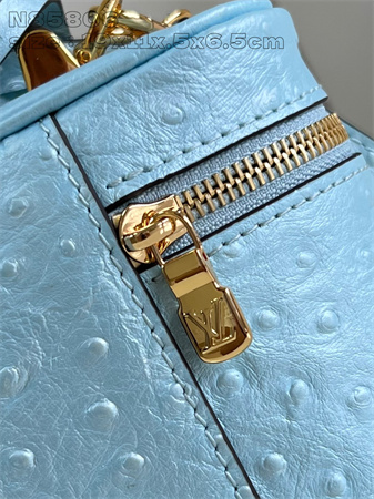 L.V Vanity Chain Pouch Ostrich Leather Blue N85820