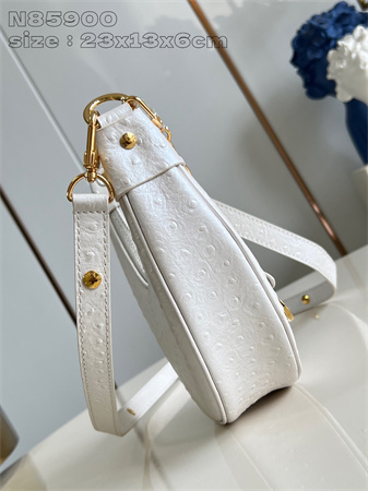 L.V Loop Handbag Ostrich leather White N85900
