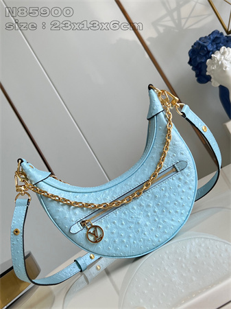L.V Loop Handbag Ostrich leather Blue N85900