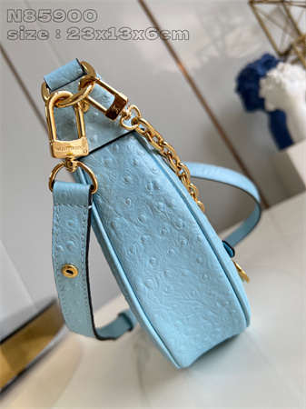 L.V Loop Handbag Ostrich leather Blue N85900